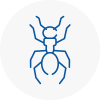 Ant Removals In Huntly