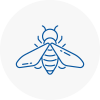 Bee Nest Removal Huntly