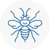Huntly Hornet Nest Removals