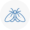 Moth Control Specialists In Huntly
