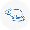 Rat Control Huntly